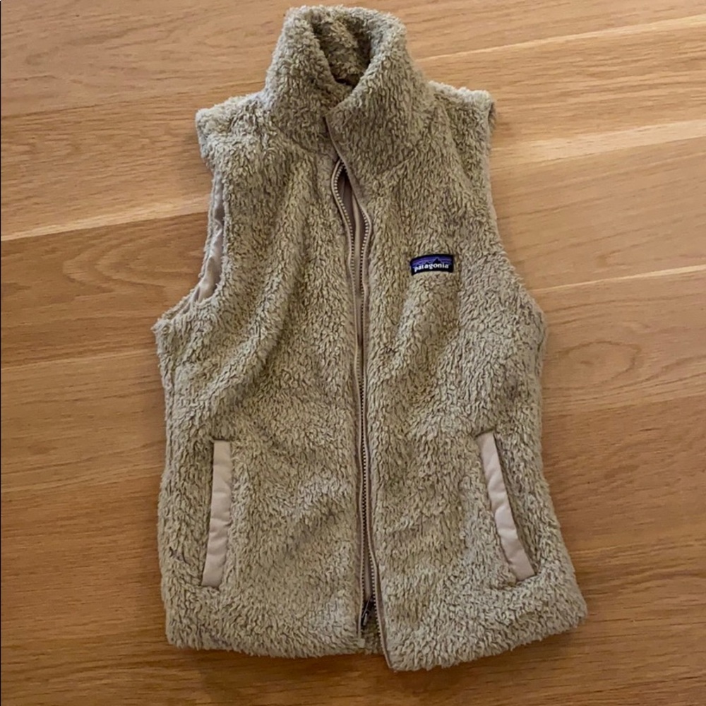 Patagonia vest